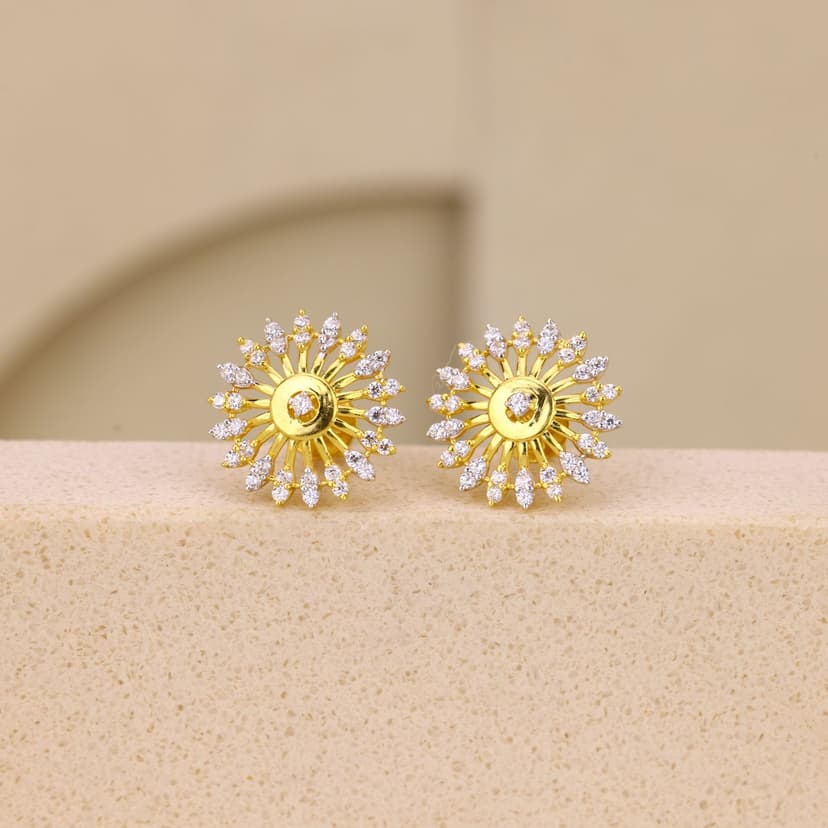 Vazellisse Rayshine Earrings 22KT